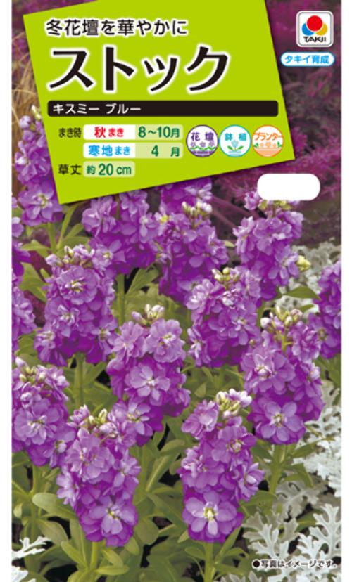 ltIUwsWYu24D36qSbneLGRJM.jpg