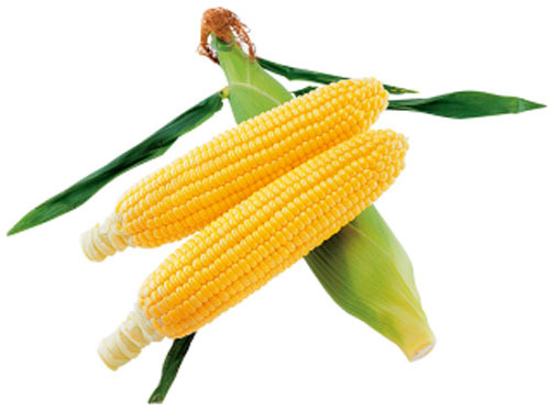 mu6t5PgLMxolCUHJa1n0sN32.jpg