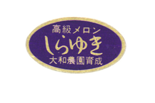 n3yzaYM1GH7Zml5s480J2Qju.jpg