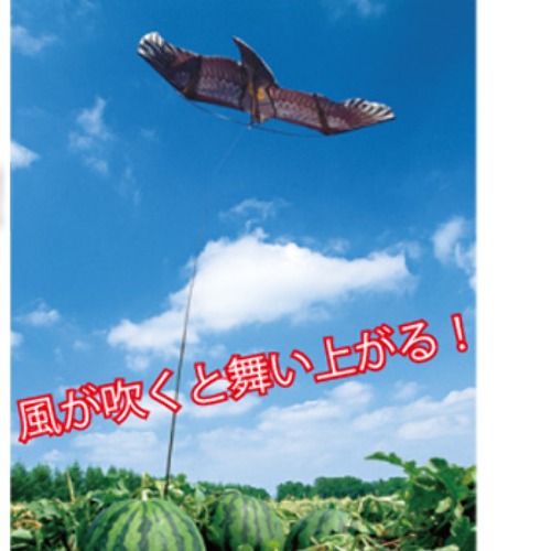 nT2kXrxtFDsO08965wiyodU1.jpg
