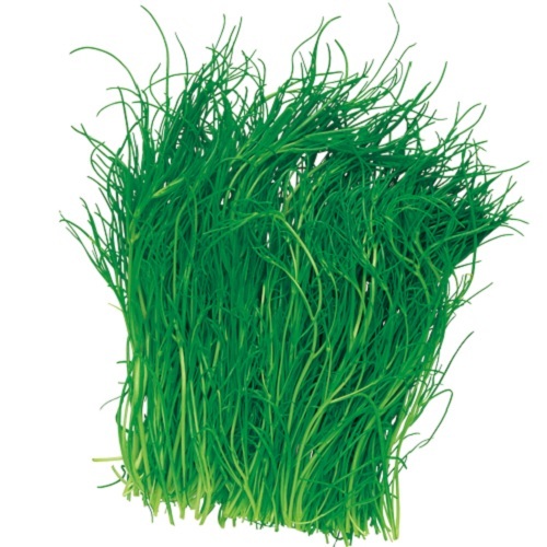 oD0Y9JZ3FLA8CabUHuhPwK5T.jpg