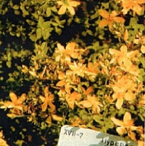rnRph2PilXS5LN6uZ18tEJMK.jpg
