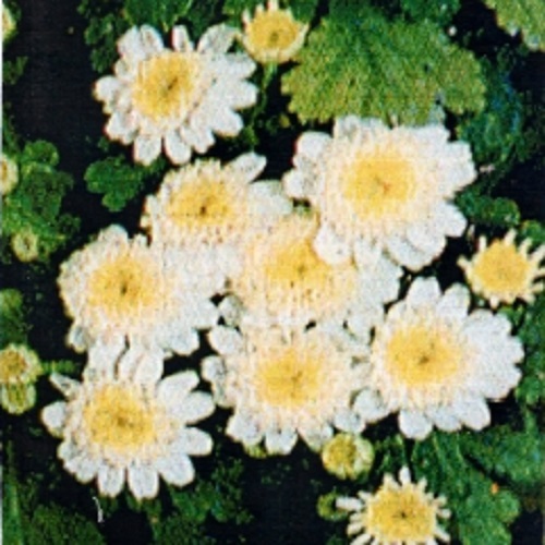 sX5OjiZzBJw46vSTqkDG09lc.jpg