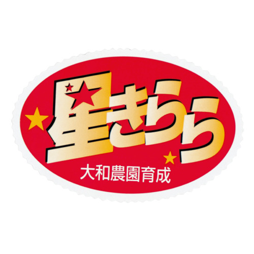 slKpYTVxfRcW61mH4zw7ED8Q.jpg