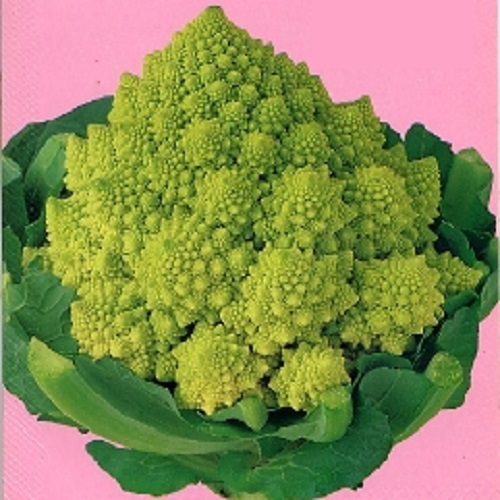 t71Vjcks0vfzHAmg68G2Y39l.jpg