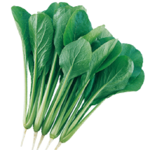 vMa4DPdeQ723c1oS658VKkwO.png