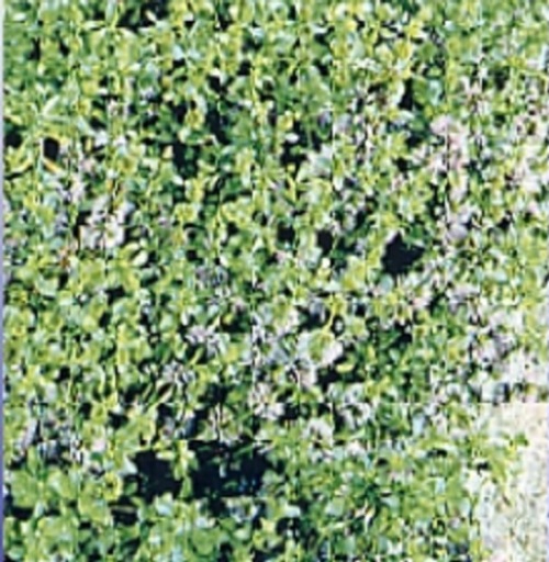 woy1Sp0BX97zr6Q4YHCTKW8k.jpg