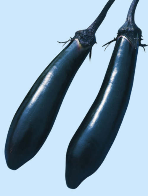 x73U8FDta2EKzLbArMp5Py61.jpg