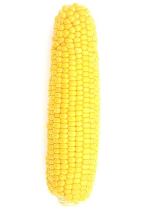xOQ04MyTL27gsJu93nfi1dlj.jpg