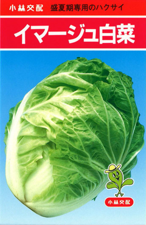 yT7HhJICEBgr39D4PnQt12SZ.jpg