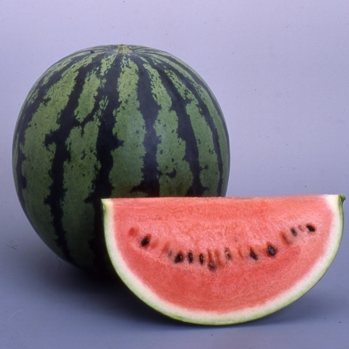 yUHjMT8iae5hd4W7N1P09JFg.jpg