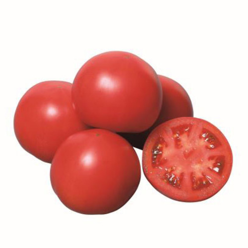 ygrEmQkctFOpNCS1Bq2IDHZM.jpg