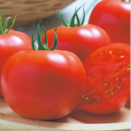 桃太郎サニー[トマト] - e-種や｜国内最大級の野菜種・花種・苗・農業 