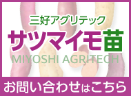 サツマイモ親苗のお問合せはこちら