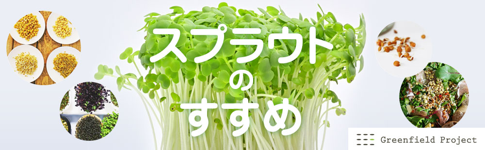 スプラウト
