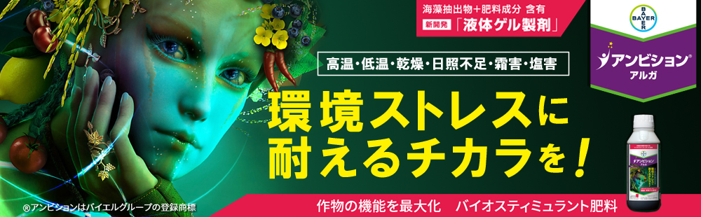 アンビション