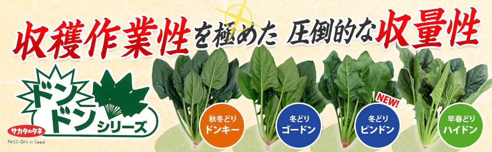 ドンドンシリーズ