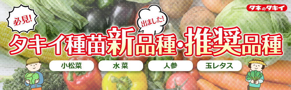 タキイ新商品