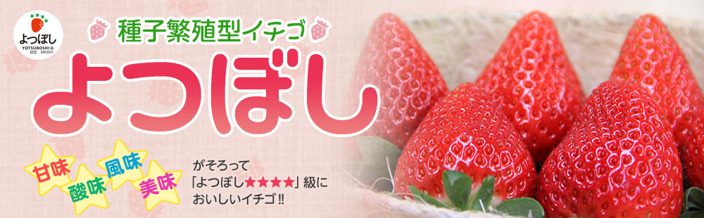 よつぼし