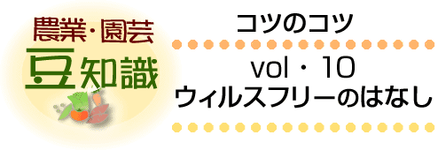 春の到来を告げる花