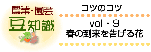 春の到来を告げる花