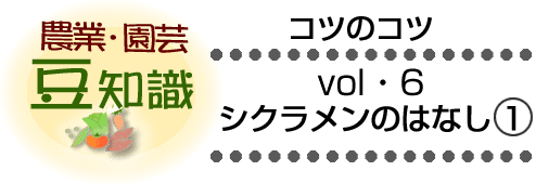 農業・園芸豆知識　シクラメンのはなし