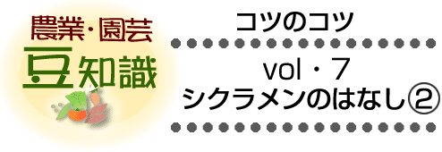 農業・園芸豆知識　シクラメンのはなし