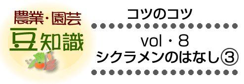 農業・園芸豆知識　シクラメンのはなし