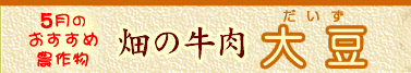 5月のおすすめ農作物　