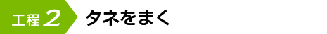 タネをまく
