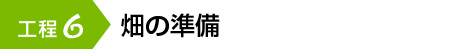 畑の準備