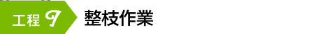 整枝作業