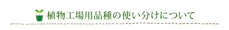 植物工場用品種の使い分けについて