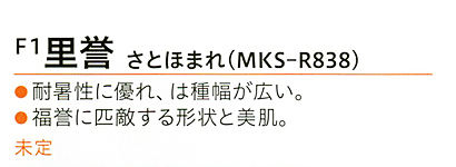里誉について