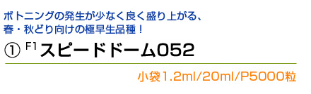 スピードドーム052について