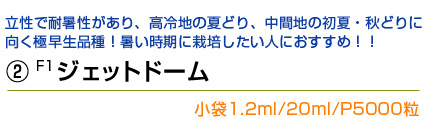 ジェットドームについて