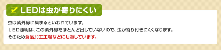 LEDは虫が寄りにくい