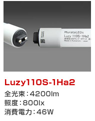 Luzy110S-1Ha2