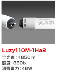 Luzy110M-1Ha2