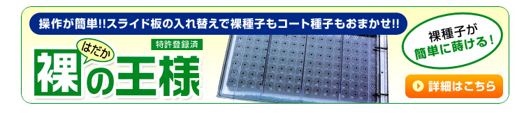 裸の王様はこちら