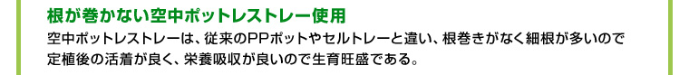 根が巻かない空中ポットレストレー使用