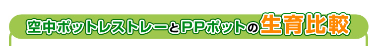 空中ポットレストレーとPPポットの生育比較