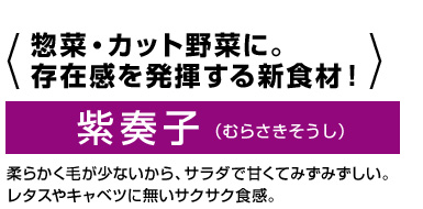 惣菜・カット野菜に。存在感を発揮する新食材。紫奏子（むらさきそうし）