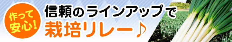 ますます充実！ブロッコリー