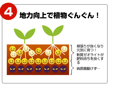 地力向上で植物ぐんぐん！