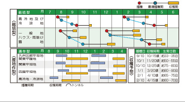 播種期一覧