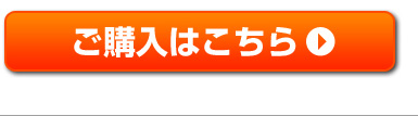 ご購入はこちら
