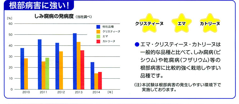 根部病害に強い！