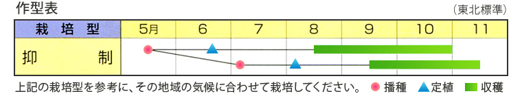 作型表