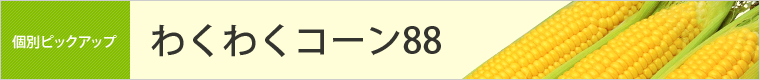 わくわくコーン88